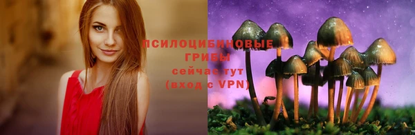 дмт Абдулино