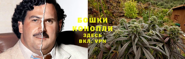 СК Абаза