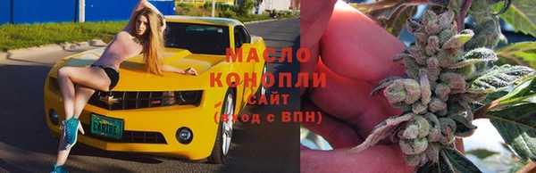 дмт Алзамай