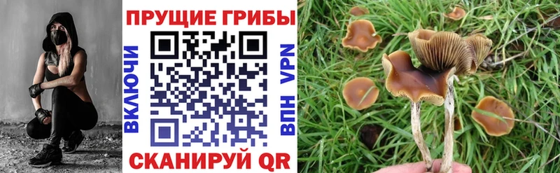 Псилоцибиновые грибы прущие грибы  купить   Отрадное 