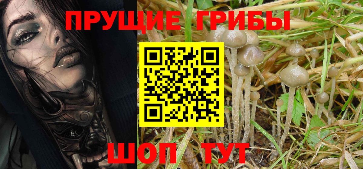 Отрадное  Псилоцибиновые грибы MAGIC MUSHROOMS  Вход с VPN  Псилоцибиновые грибы ЛСД 